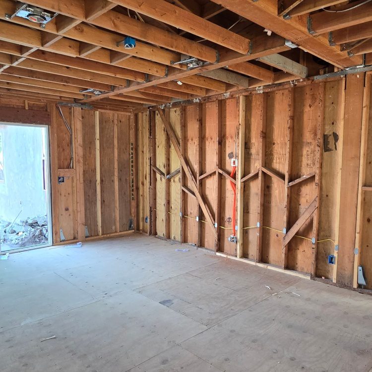 20241125_145206.Custom (1)