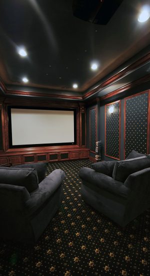 Professional home theater rendering and design